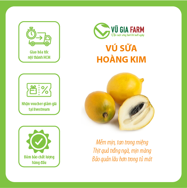 Vú Sữa Hoàng Kim 1kg