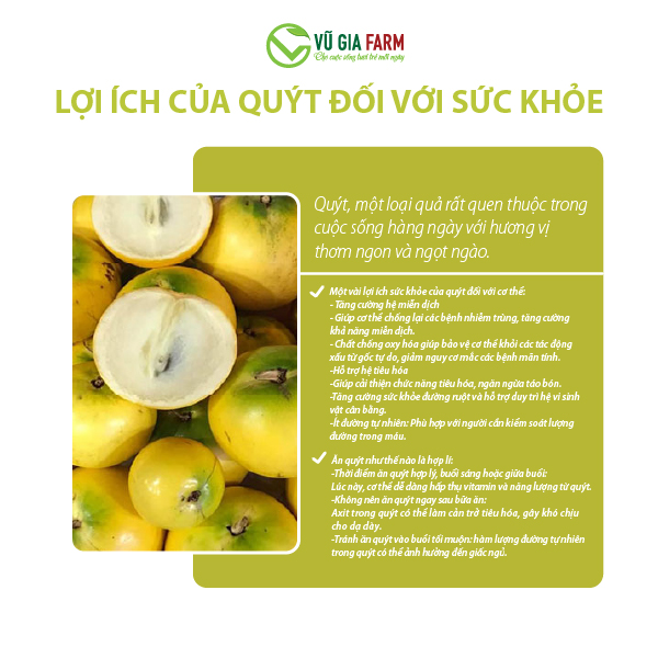 Vú Sữa Hoàng Kim 1kg - Hình ảnh 2