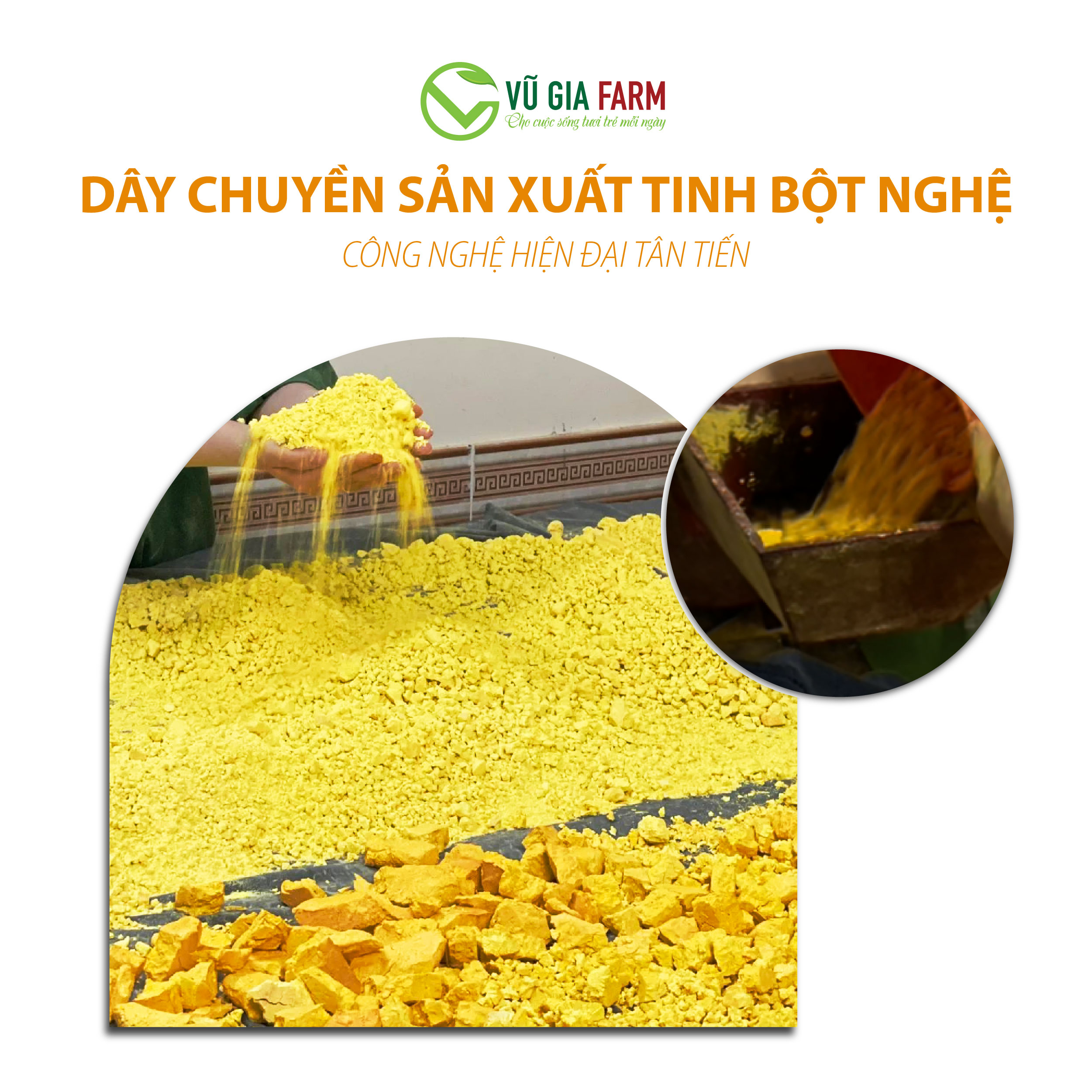 Tinh Nghê Đỏ Nguyên Chất Vũ Gia (100g/túi) - Hình ảnh 8