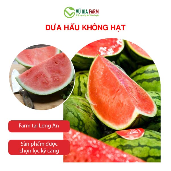 Dưa hấu VG Farm