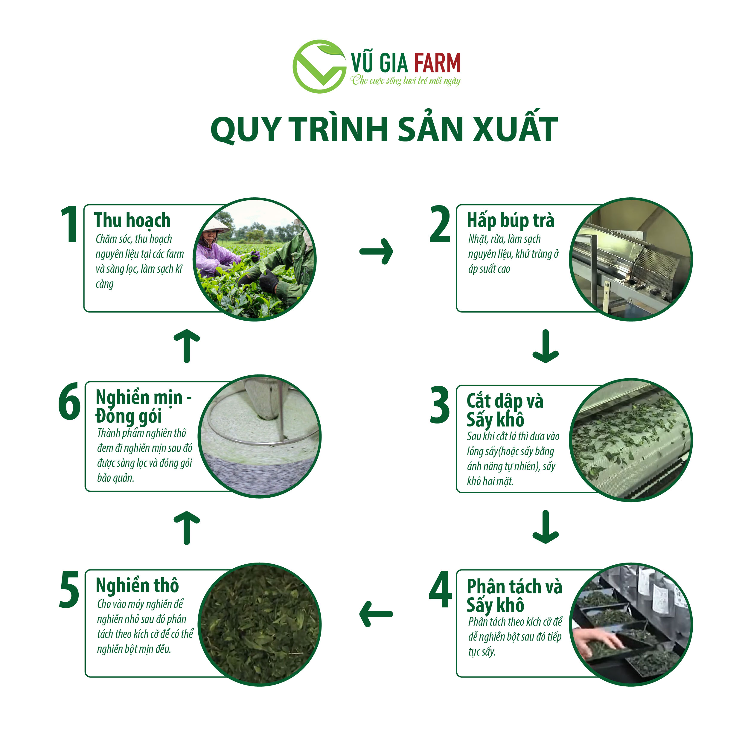 Bột Trà Xanh Nguyên Chất Vũ Gia (100g/ túi) - Hình ảnh 9