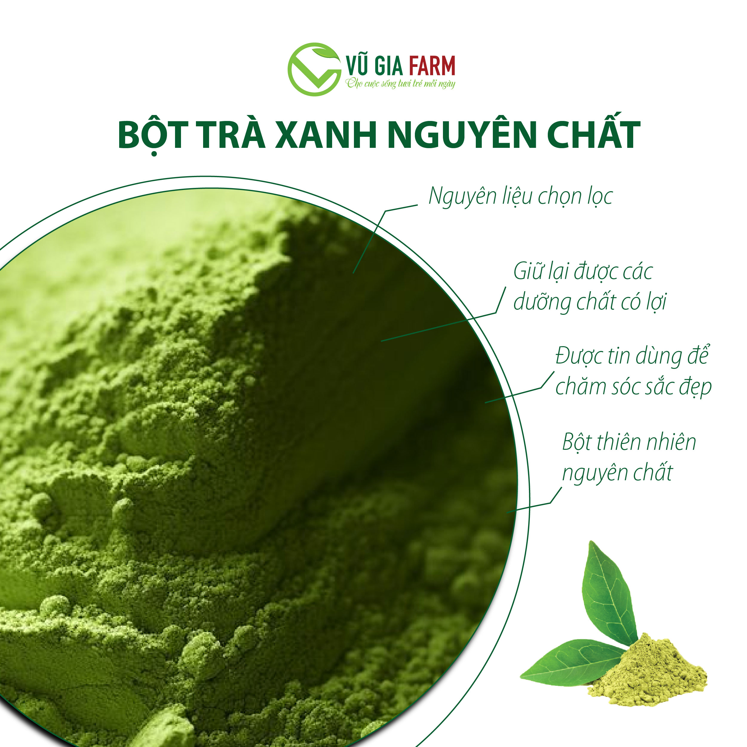 Bột Trà Xanh Nguyên Chất Vũ Gia (100g/ túi) - Hình ảnh 7