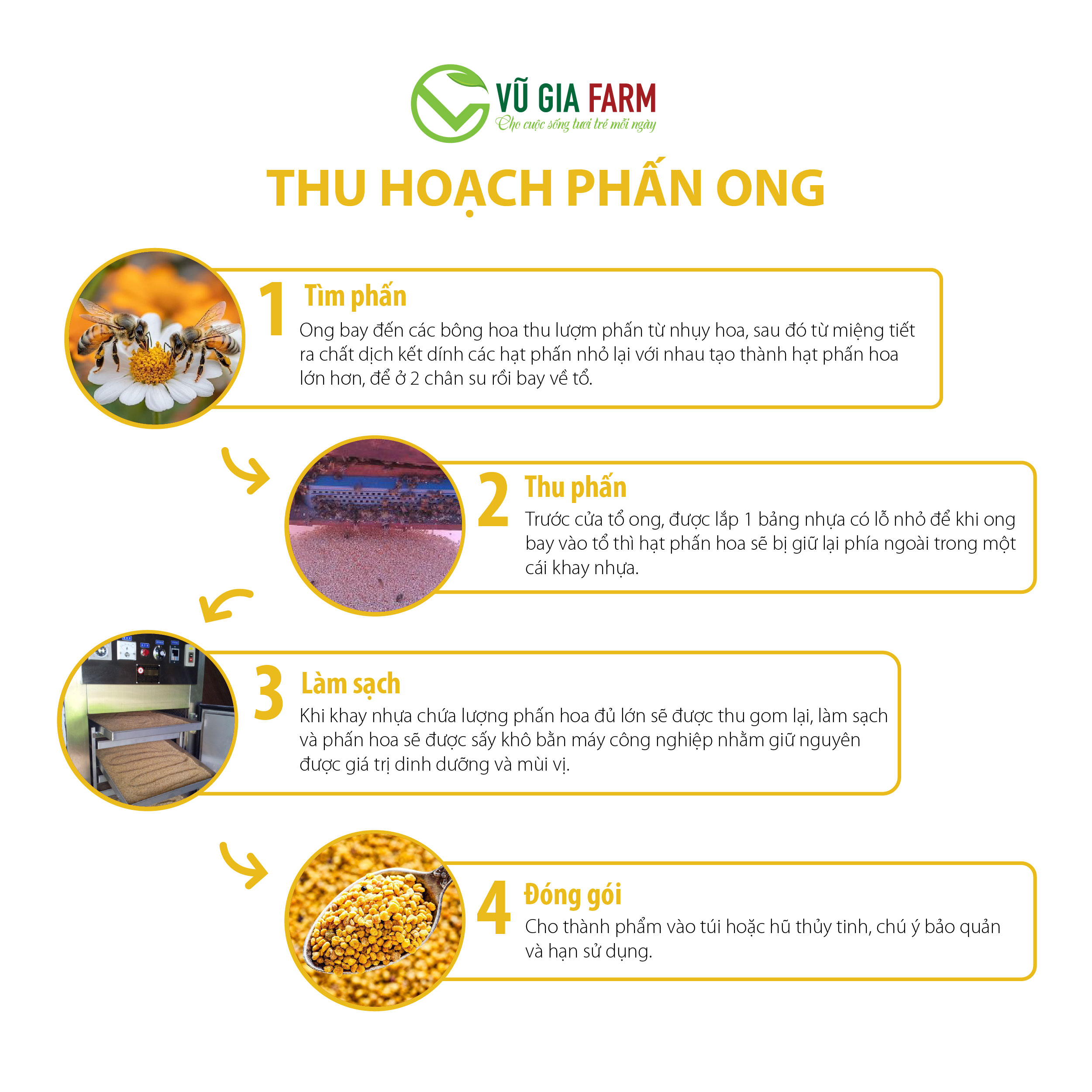 Phấn Hoa Mật Ong Nguyên Chất Vũ Gia - Hình ảnh 5