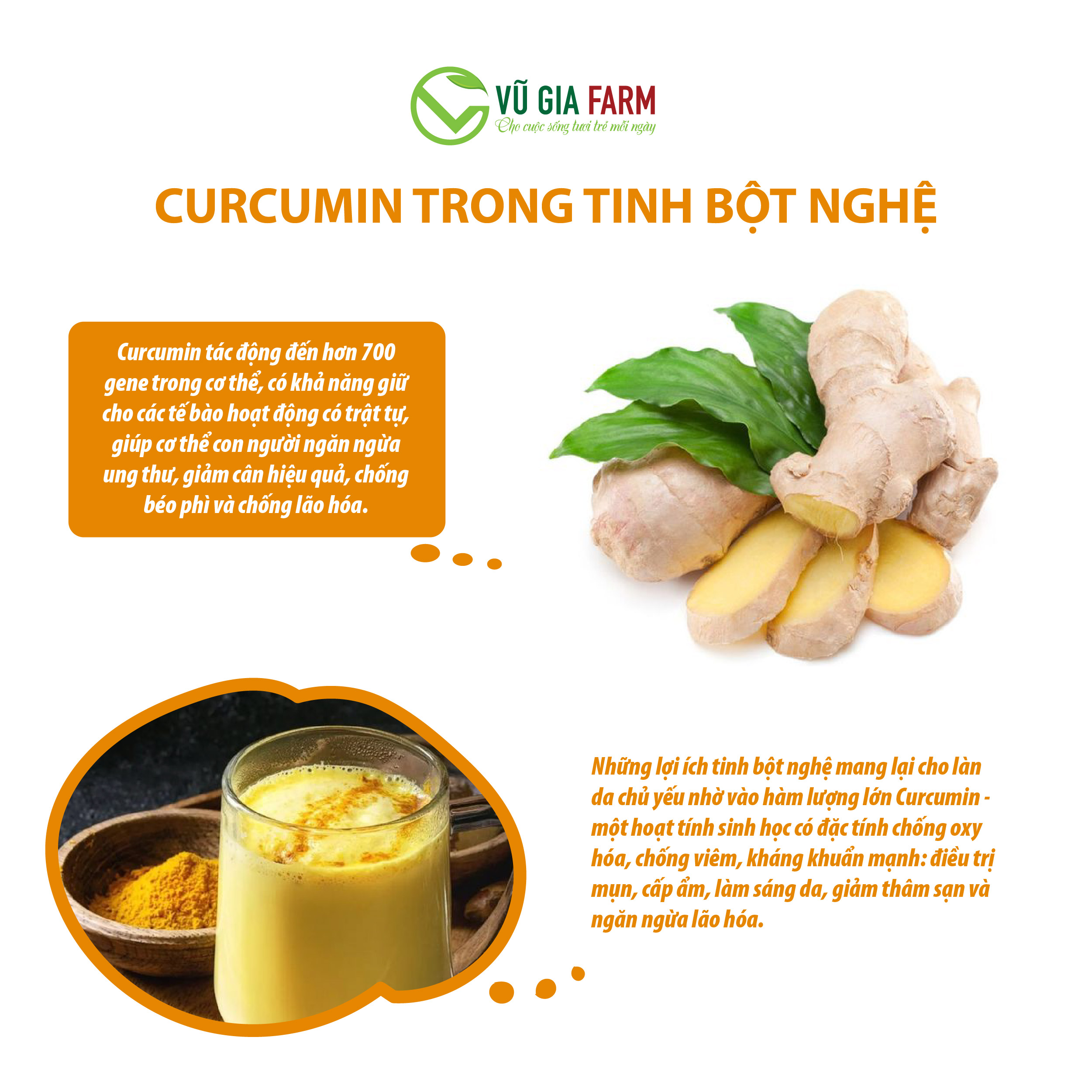 Bột Nghệ Đỏ Nguyên Chất Vũ Gia (500g/ hũ) - Hình ảnh 5